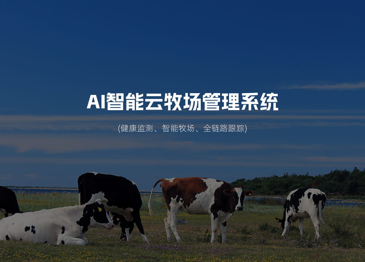 轮播图1